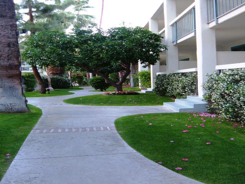 Palm Mountain Resort & Spa Palm Springs Exterior photo